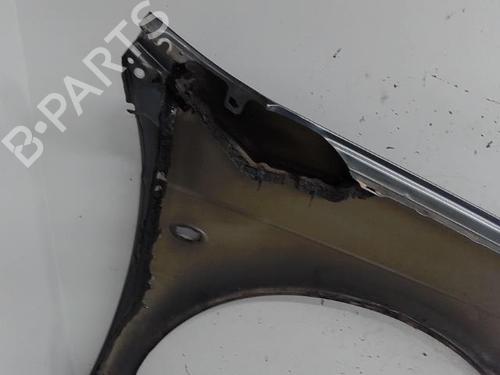 Left front fenders CITROËN C5 II (RC_) 2.2 HDi | BP21300989C41 