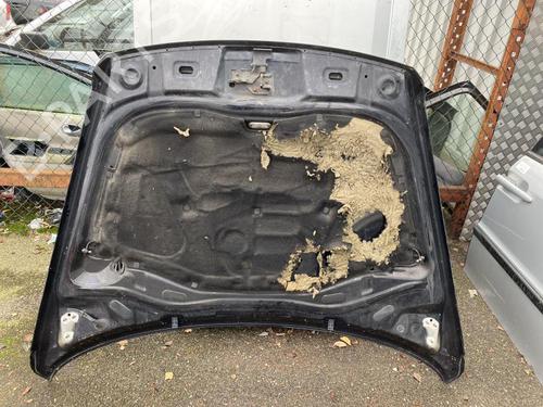 Hood VW TOUAREG (7LA, 7L6, 7L7) 2.5 R5 TDI | BP21313218C1 