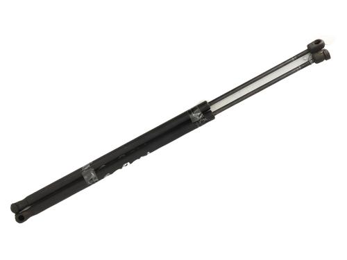 Tailgate lift support FORD FIESTA V (JH_, JD_)  | BP21363489C138 