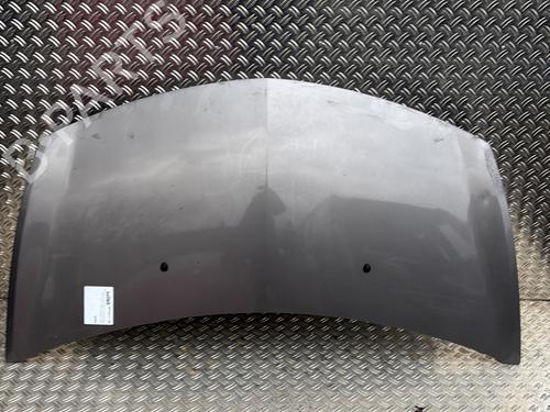 hood-renault-clio-iii-br01-cr01-2005-2006-2007-2008-2009-2010-2011-2012-2013-2014-30886021 main image
