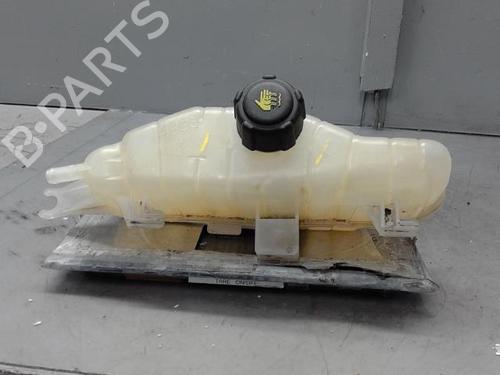 Used Expansion tank RENAULT CLIO III (BR0/1, CR0/1) 1.2 16V (BR02, BR0J, BR11, CR02, CR0J, CR11) (75 hp) 21313962