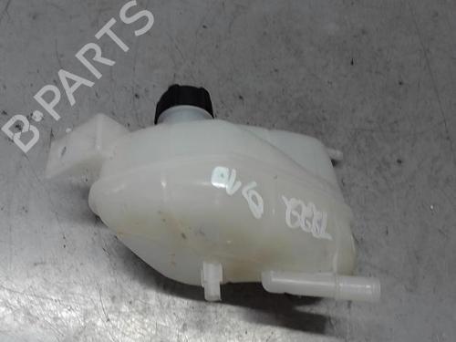 Expansion tank RENAULT KADJAR (HA_, HL_) 1.3 TCe 140 (HLNB, HLN1) | BP21316716C120 