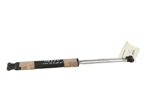 Tailgate lift support RENAULT CLIO III (BR0/1, CR0/1) 1.2 16V Hi-Flex (BR1U, CR1U) | BP29835980C138 