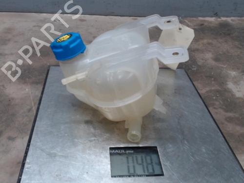 Used Expansion tank FIAT DOBLO Cargo (263_) 1.6 D Multijet (263WXD1B, 263WXR1B, 263WXX1B, 263ZXD1B,... (105 hp) 21314878