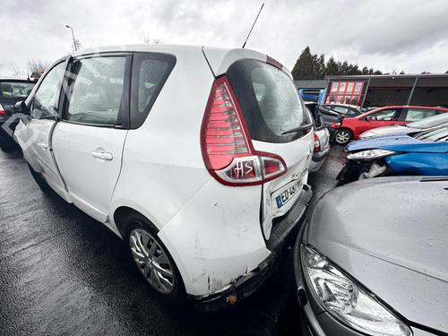 Left rear door RENAULT SCÉNIC III (JZ0/1_) 1.5 dCi | BP21369959C4 