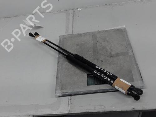 Used Tailgate lift support Tailgate lift support DACIA LOGAN MCV II 1.5 dCi (90 hp) 21290185 21290185