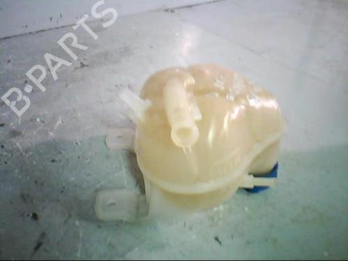 Expansion tank FIAT GRANDE PUNTO (199_) 1.2 | BP21368832C120