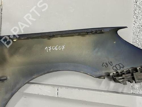 Left front fenders PEUGEOT 307 (3A/C) 2.0 16V | BP21303844C41 