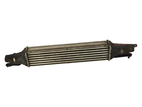 Intercooler Intercooler FIAT PUNTO EVO (199_) 1.3 D Multijet (199AXC1A, 199BXC1A, 199AXT1A, 199BXT1A) (75 hp) 39723590 39723590