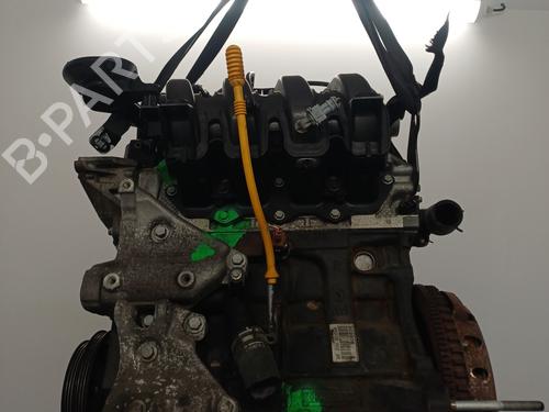 Engine RENAULT CLIO III (BR0/1, CR0/1) 1.2 16V Hi-Flex (BR1U, CR1U) | BP29836030M1