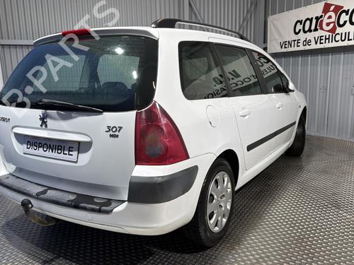 Left rear door PEUGEOT 307 Break (3E) 2.0 HDI 110 | BP31668893C4 