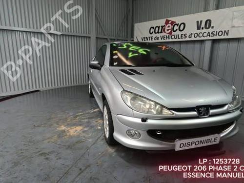 Grille PEUGEOT 206 CC (2D) 1.6 16V (2DNFUF, 2DNFUR) | BP29449123C40