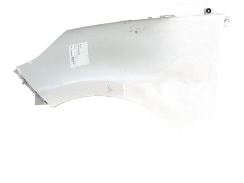 Used Left front fenders RENAULT SCÉNIC III (JZ0/1_) 1.5 dCi (110 hp) 29700744