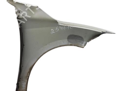 Left front fenders RENAULT MEGANE III Hatchback (BZ0/1_, B3_) 1.5 dCi (BZ0C) | BP31754516C41