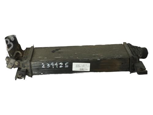 Used Intercooler Intercooler NISSAN NAVARA NP300 (D40) 2.5 dCi 4WD (D40TT, D40T, D40M, D40BB) (190 hp) 21318262 21318262