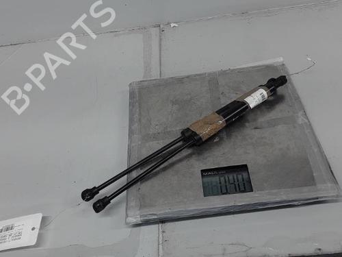 Hood lift support RENAULT KANGOO Express (FW0/1_) 1.5 dCi 75 (FW07, FW10, FW04) | BP21368066C139 