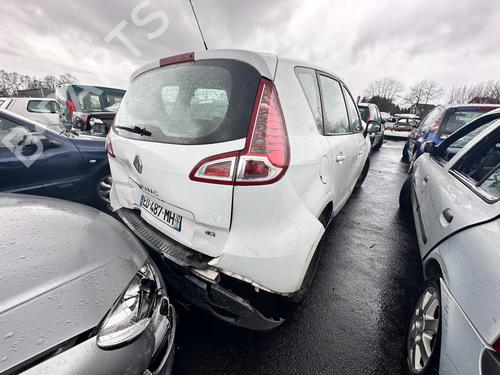 Left rear door RENAULT SCÉNIC III (JZ0/1_) 1.5 dCi | BP21369959C4 