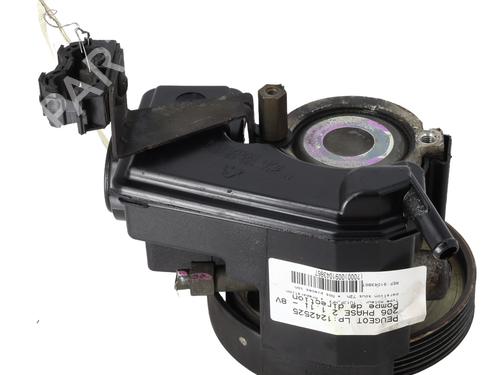 Steering pump PEUGEOT 206 Hatchback (2A/C) 1.1 i | BP21295897M99 