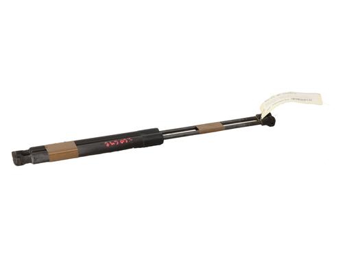 tailgate-lift-support-dacia-sandero-ii-2012-32735096 main image