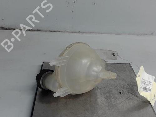 Expansion tank CITROËN C4 II (NC_) 1.6 BlueHDi 100 | BP21290390C120 