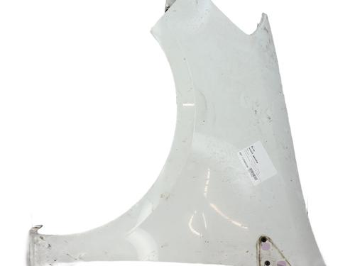 Used Left front fenders RENAULT CLIO III (BR0/1, CR0/1) 1.2 16V Hi-Flex (BR1U, CR1U) (75 hp) 30482839