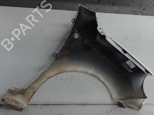 Left front fenders RENAULT KANGOO Express (FW0/1_) 1.5 dCi 85 (FW0K, FW0L, FW0B) | BP21320117C41 