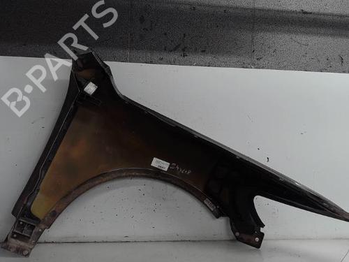 Left front fenders VW TOUAREG (7LA, 7L6, 7L7) 2.5 R5 TDI | BP21314117C41 
