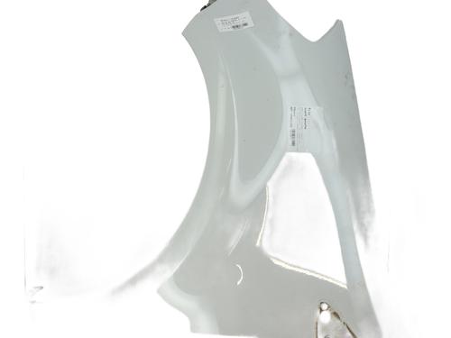 Used Left front fenders RENAULT CLIO III (BR0/1, CR0/1) 1.6 16V GT (BR10, CR10) (128 hp) 27389081