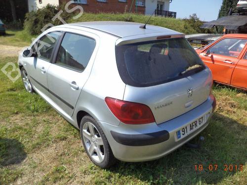 Tailgate lift support PEUGEOT 307 (3A/C) 2.0 HDi 110 | BP21363837C138 