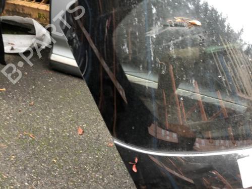 Tailgate NISSAN JUKE (F15) 1.5 dCi | BP21293903C6