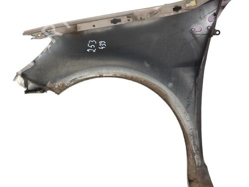 Used Right front fenders RENAULT CLIO III (BR0/1, CR0/1) 1.5 dCi (C/BR0G, C/BR1G) (68 hp) 29211327