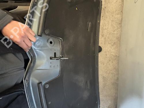 Hood CITROËN C4 Grand Picasso I (UA_) 1.6 HDi | BP21293643C1