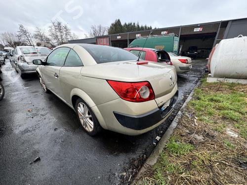 Left front fenders RENAULT MEGANE II Coupé-Cabriolet (EM0/1_) 1.6 | BP21308616C41 