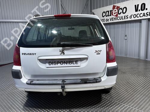 Left rear door PEUGEOT 307 Break (3E) 2.0 HDI 110 | BP31668893C4 