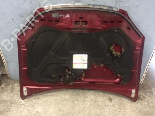 Hood FIAT CROMA (194_) 1.9 D Multijet | BP21300203C1