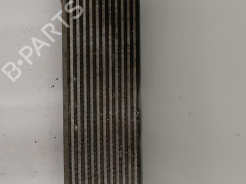 Intercooler RENAULT MASTER III Van (FV) 2.3 dCi 145 FWD (FV0E, FV0F, FV0H, FV02, FV0M, FV0S,... | BP30491984M30 