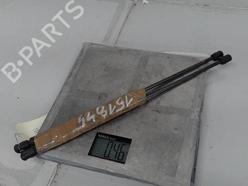 Tailgate lift support FIAT PUNTO (188_) 1.9 JTD 80 (188.237, .257, .337, .357) | BP21366978C138 