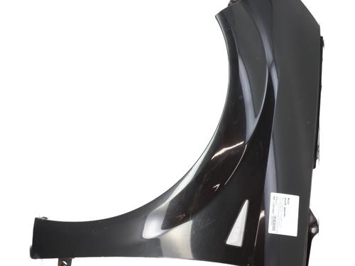 Used Left front fenders RENAULT GRAND SCÉNIC II (JM0/1_) 2.0 dCi (JM1K) (150 hp) 29252822