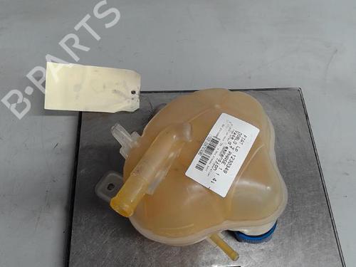 Expansion tank FIAT DOBLO Cargo (263_) 1.4 Natural Power | BP21318594C120 