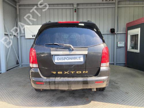 Ricambi SSANGYONG REXTON / REXTON II (GAB_) 4773099