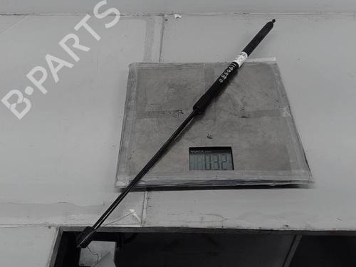 Hood lift support RENAULT MEGANE III Hatchback (BZ0/1_, B3_) 1.5 dCi (BZ09, BZ0D, BZ1W, BZ29, BZ14) | BP21364074C139 