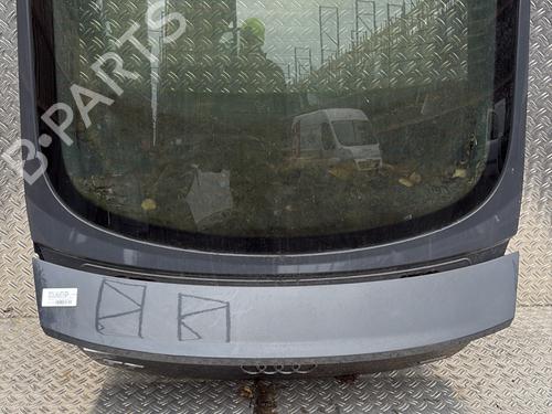 Bakluke CC/Kombi-Kupé AUDI TT (FV3, FVP) 2.0 TDI (184 hp) 21367028