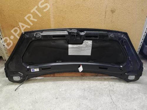 Used Hood PEUGEOT 1007 (KM_) 1.6 HDi (109 hp) 21294393
