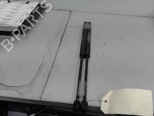 Tailgate lift support FIAT PUNTO (188_) 1.9 JTD 80 (188.237, .257, .337, .357) | BP21370078C138 