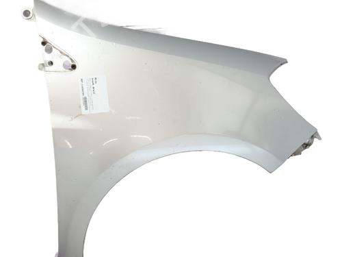 Used Right front fenders RENAULT CLIO III (BR0/1, CR0/1) 1.5 dCi (BR17, CR17) (86 hp) 31064963