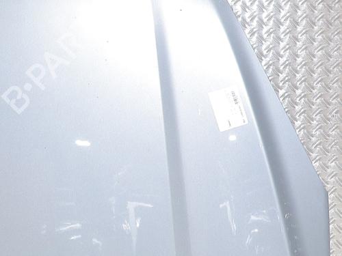 hood-ford-kuga-iii-dfk-2019-40223943 main image
