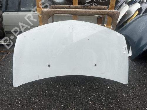 Used Hood RENAULT CLIO III (BR0/1, CR0/1) 1.2 16V (BR02, BR0J, BR11, CR02, CR0J, CR11) (75 hp) 21291683