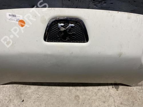 Hood PEUGEOT BIPPER (AA_) 1.4 HDi | BP21314831C1