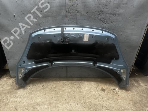 Used Hood RENAULT SCÉNIC III (JZ0/1_) 1.5 dCi (110 hp) 21309810