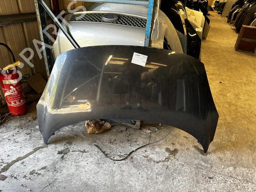 Used Hood RENAULT SCÉNIC III (JZ0/1_) 1.9 dCi (JZ0J, JZ1J, JZ1K, JZ1S) (131 hp) 21300922